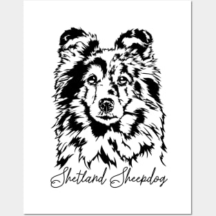 Funny Proud Sheltie Shetland Sheepdog dog portrait Posters and Art